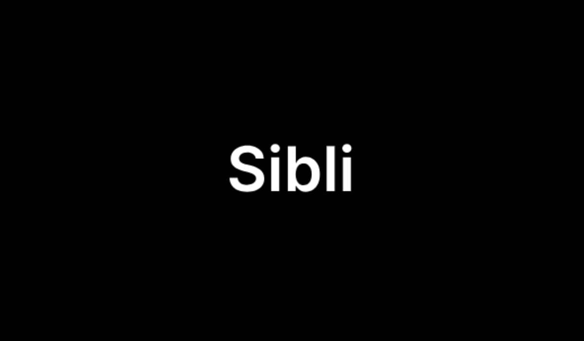 Sibli Secures $4.5M in Seed Funding to Revolutionize Investment Research with AI Technology